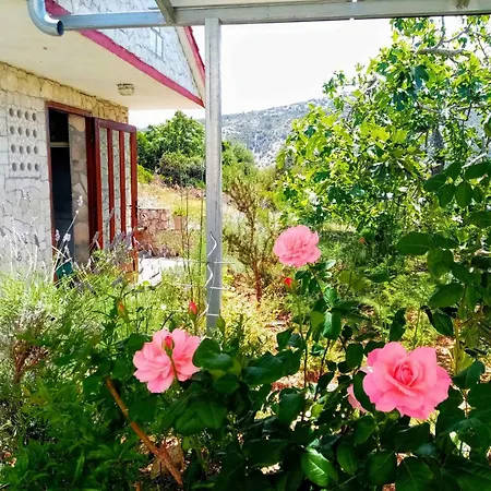 6 Apartament